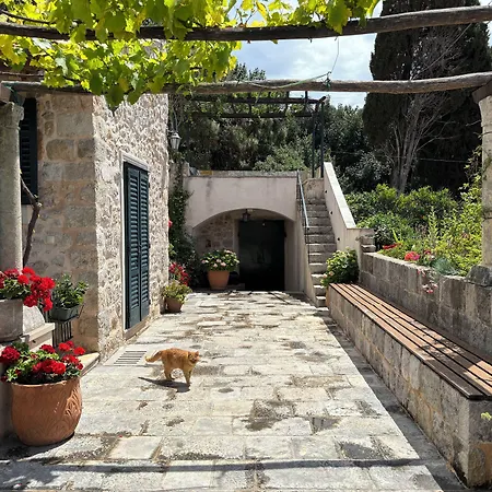 Villa Anica Dubrovnik - Luxurious With A Sea View-3